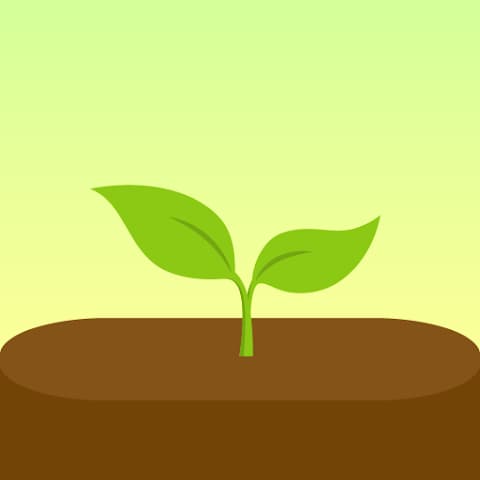 Forest MOD APK icon