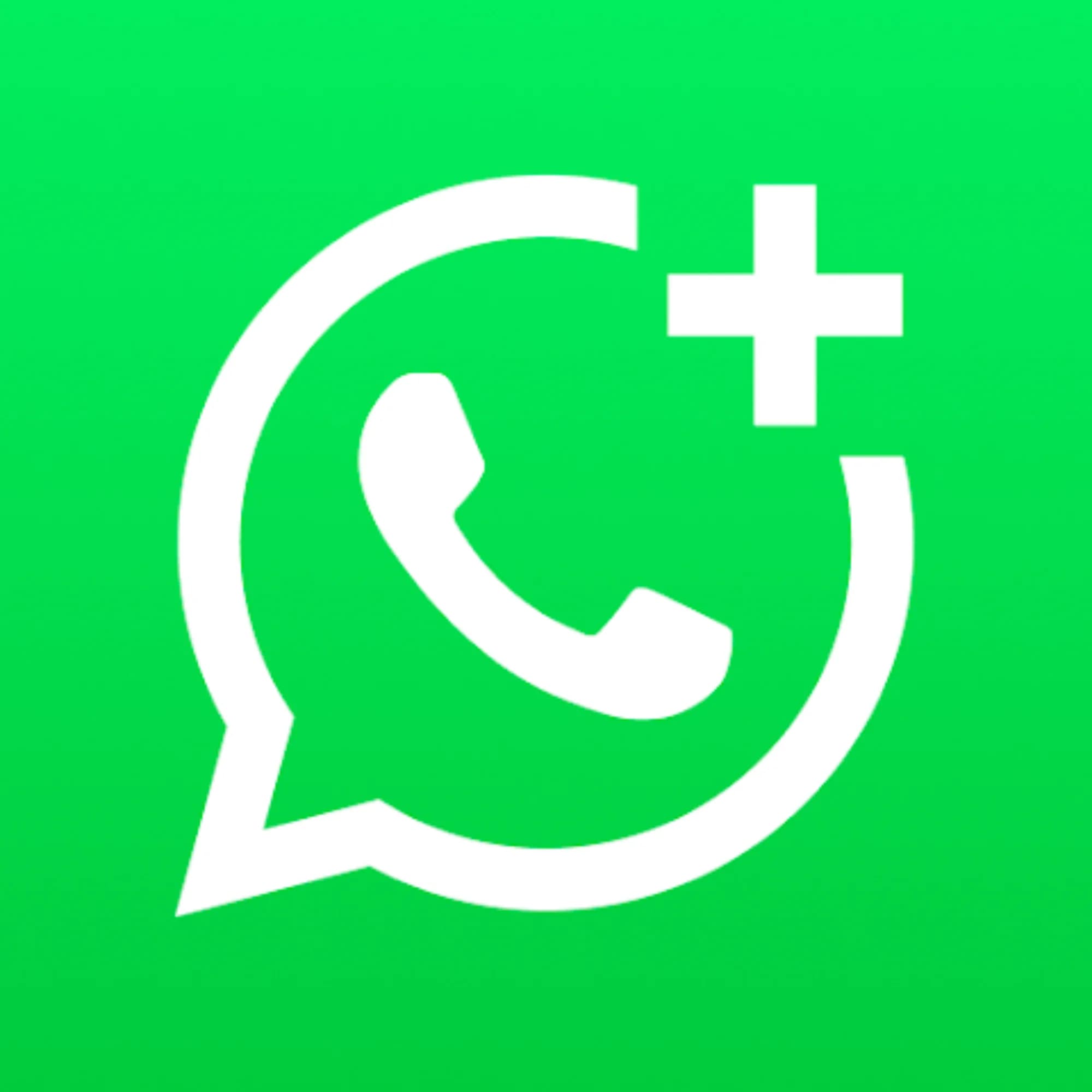 WhatsApp Business App icon