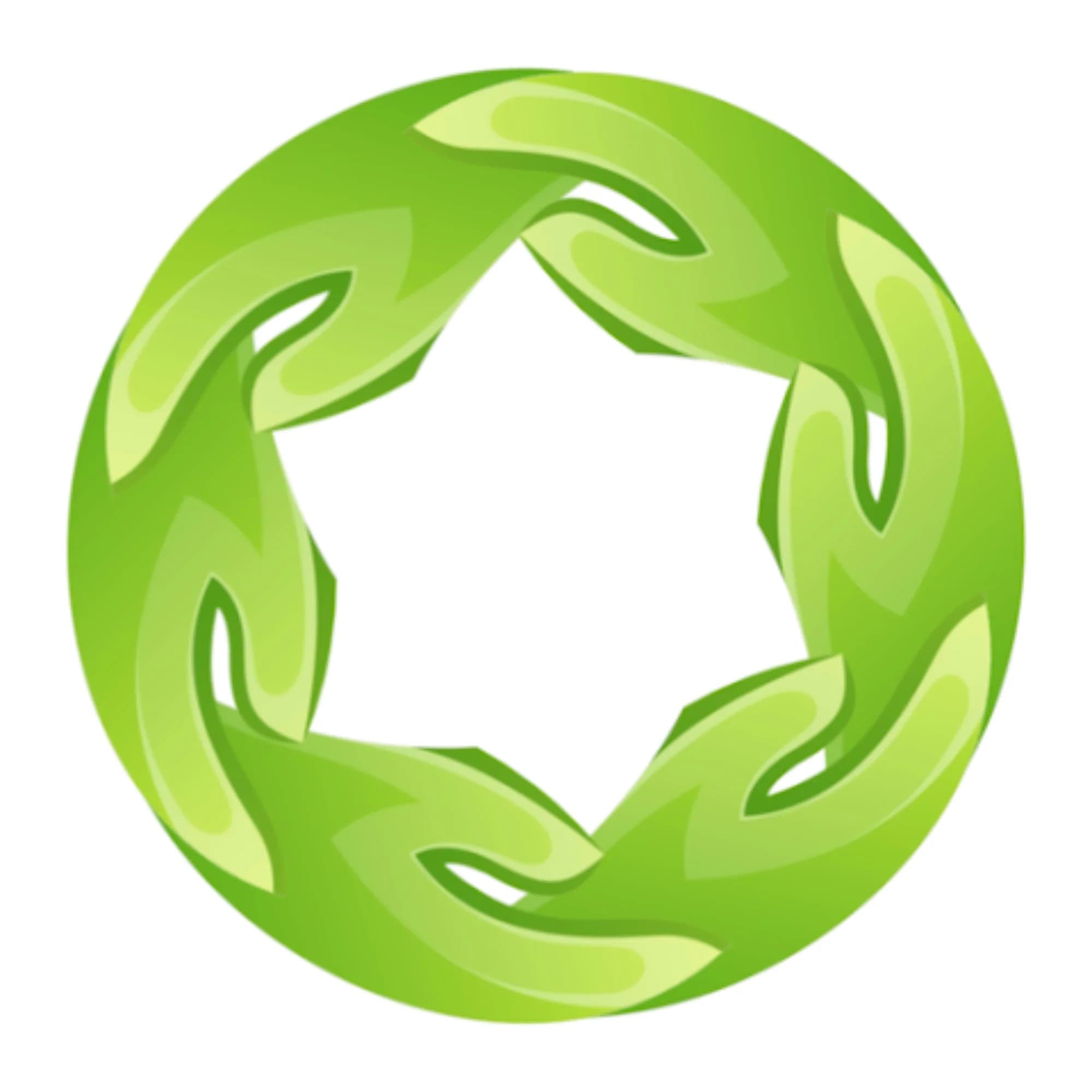 Kiwi Browser App icon