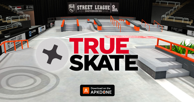 True Skate poster