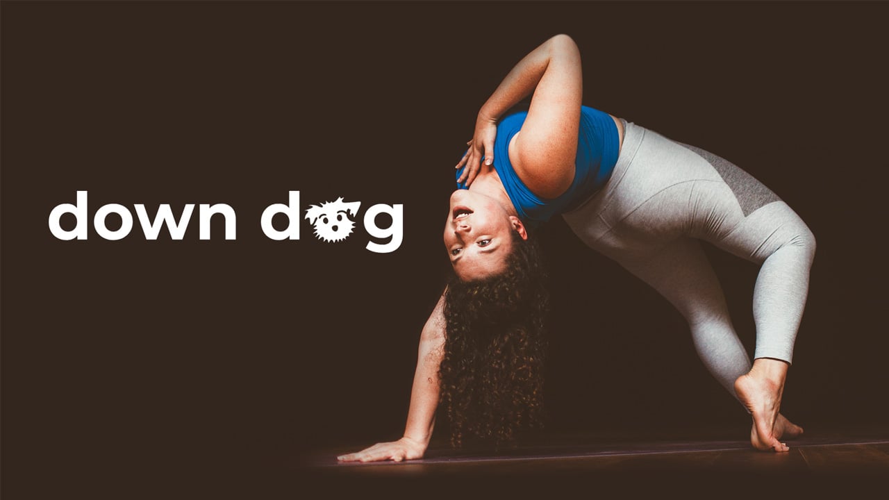 Yoga Down Dog poster