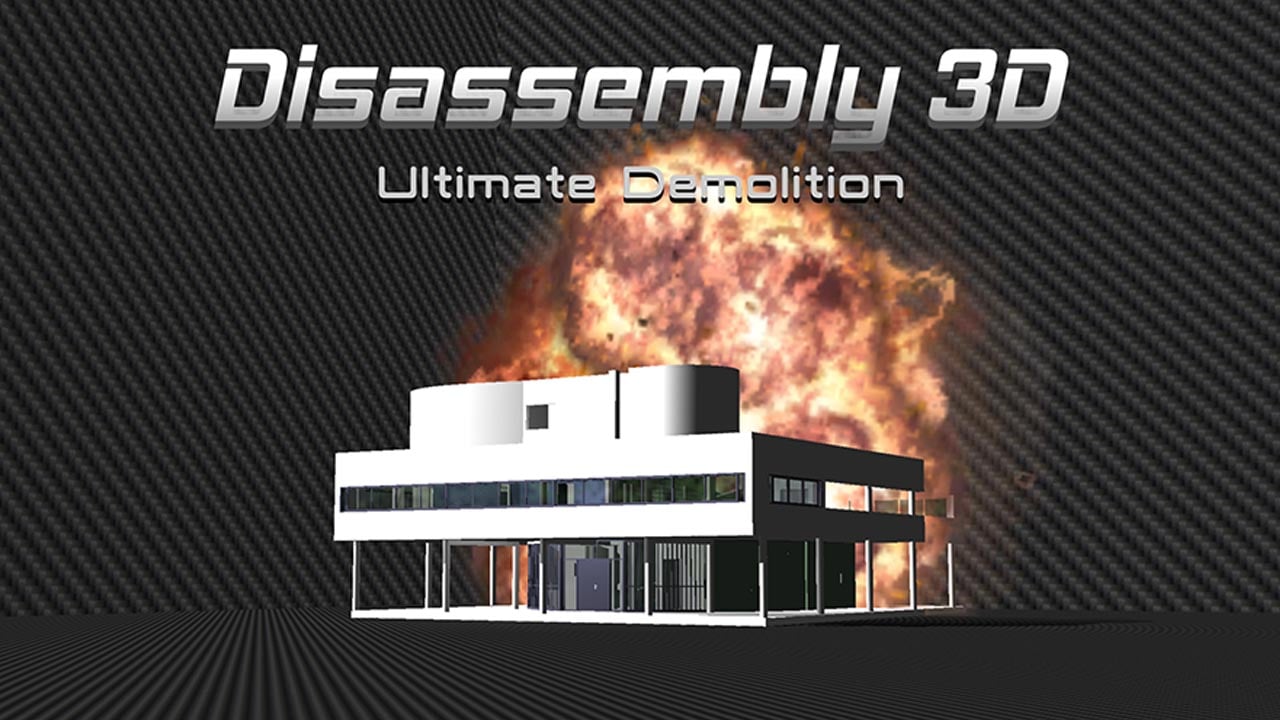 Disassembly 3D poster