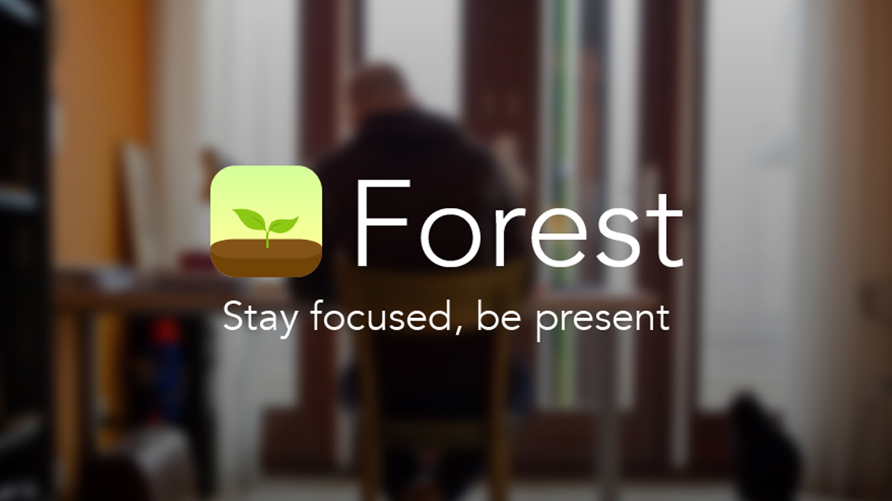 Forest Stay focused poster