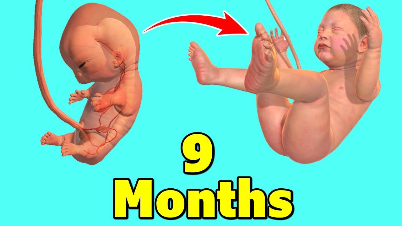 9 month poster