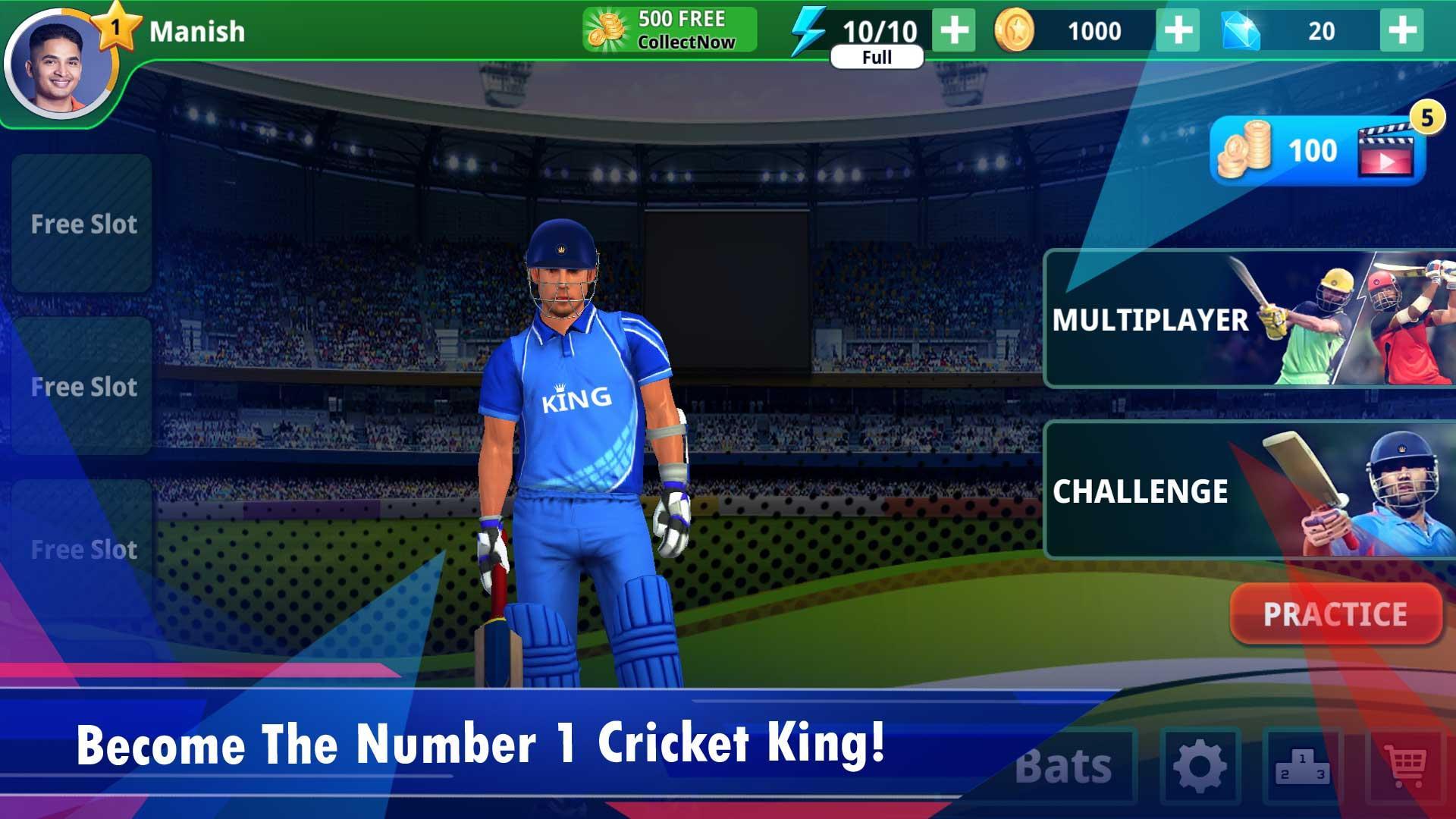 Cricket King screen 1