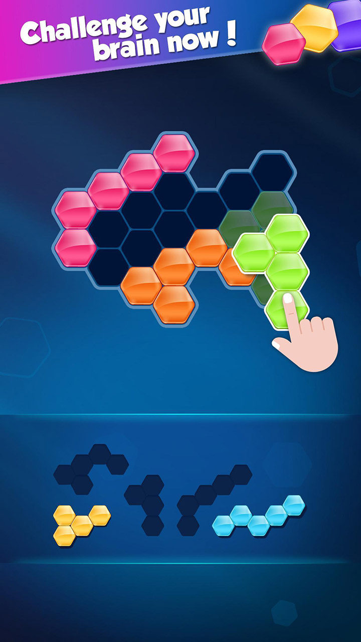 Block Hexa Puzzle screen 2
