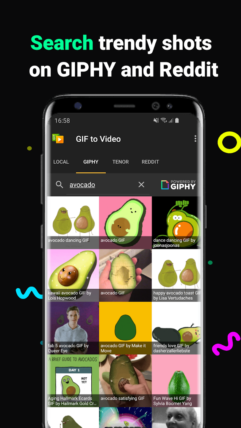 GIF to Video screen 2