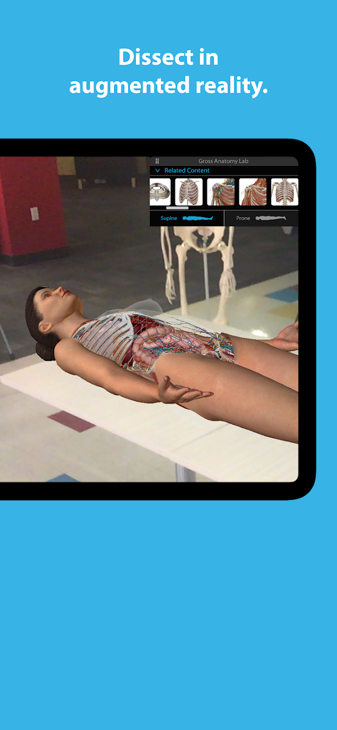 Human Anatomy Atlas 2023 screen 5