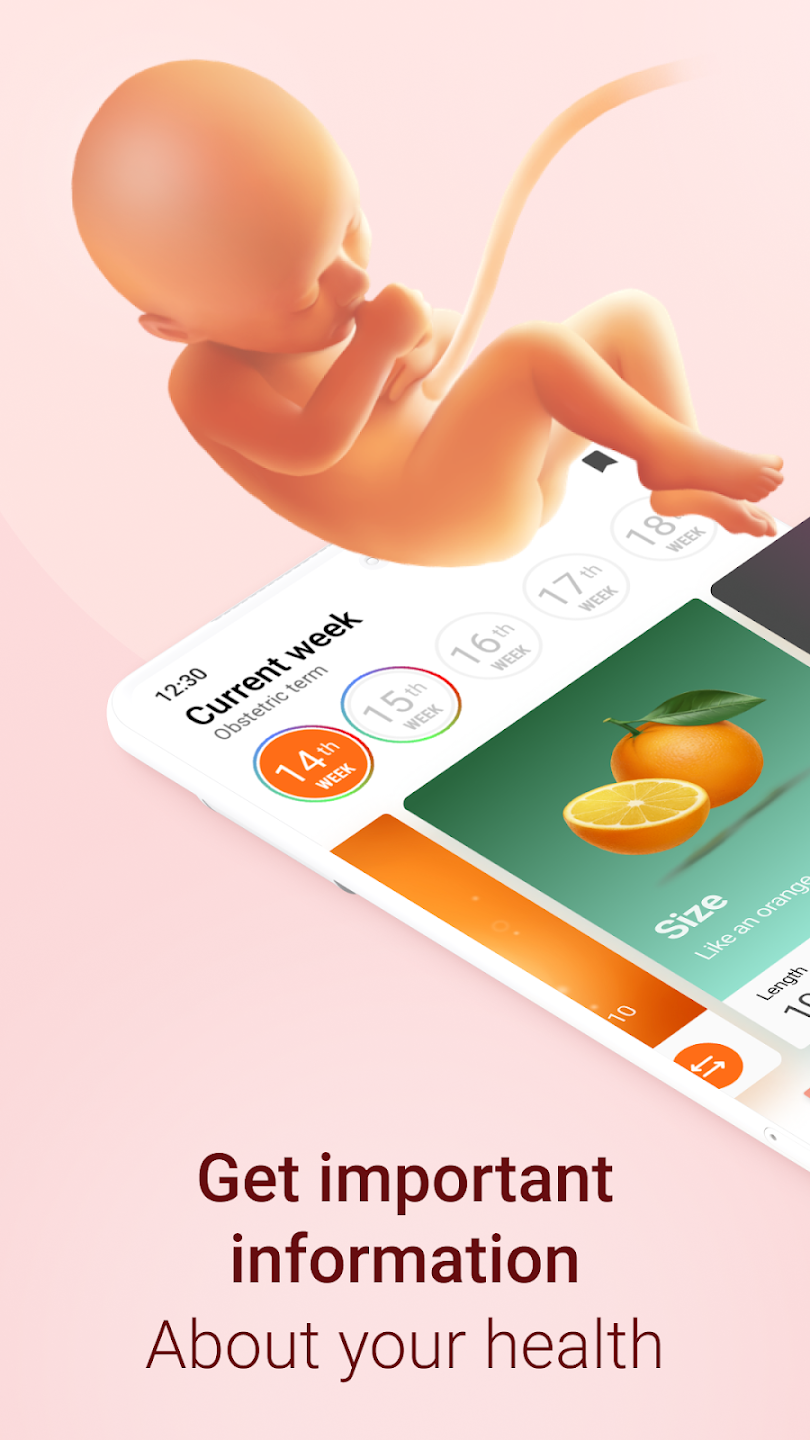 Pregnancy Tracker screen 1